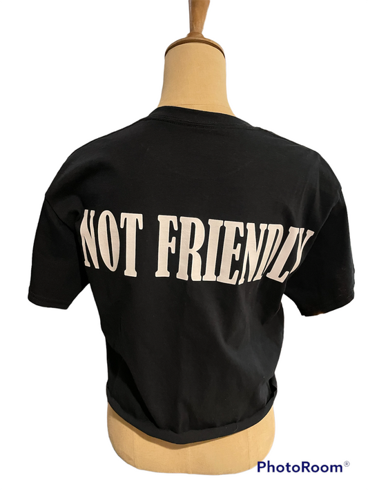 NOT FRIENDLY- Black Crop "Security" image 1