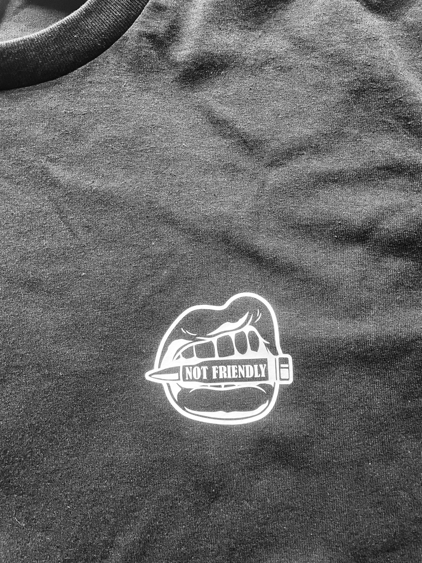 NOT FRIENDLY -Straight Savage image 2