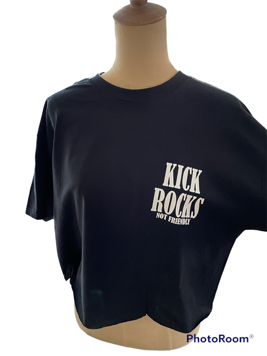 NOT FRIENDLY- Black Crop “Kick Rocks" image 0